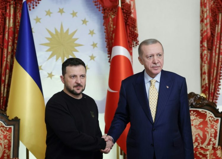 Recep Tayyip Erdogan sees himself as a key go-between for Moscow and Kyiv. ©AFP