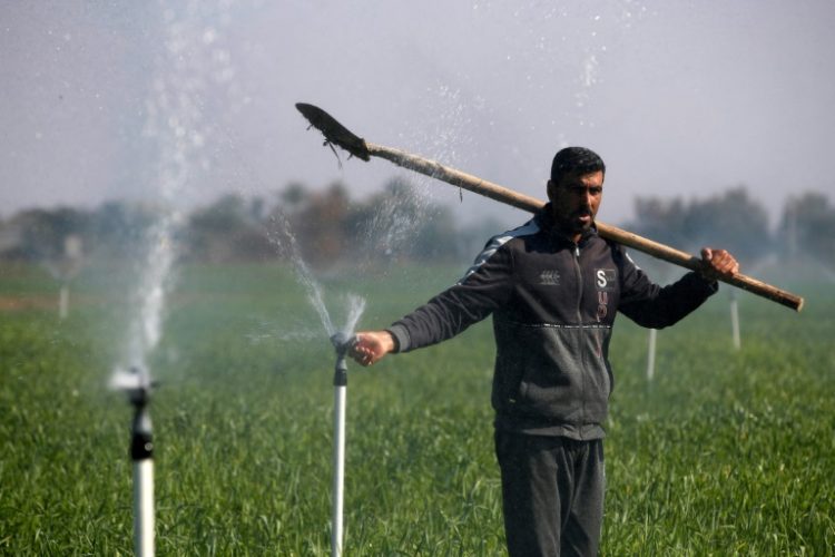 A water-saving irrigation system revived Iraqi farmer Mohammed Sami's crops -- and hopes. ©AFP
