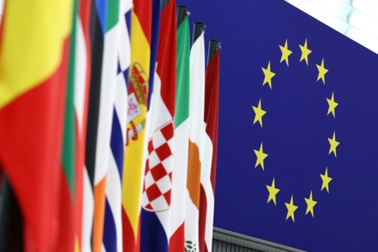 EU parliamentary elections are taking place in the bloc's 27 member states on June 6-9. ©AFP