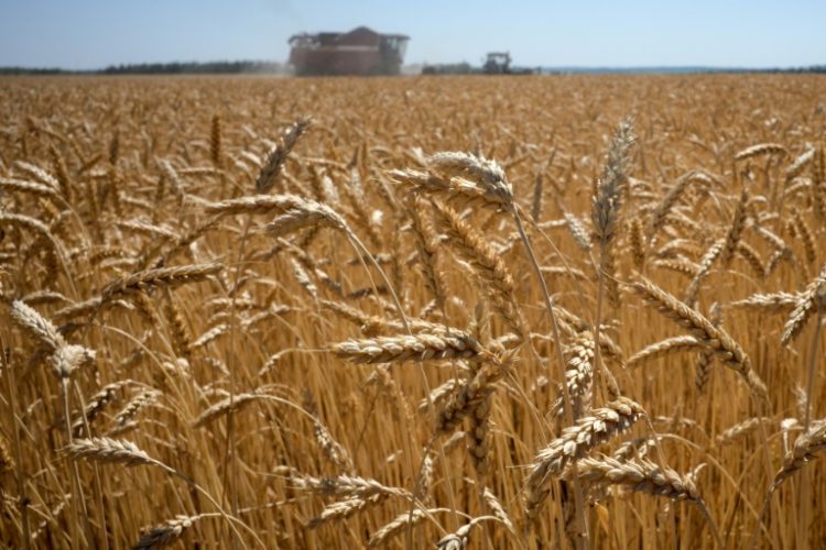 Brussels wants to make Russian grain imports into the EU 'unviable'. ©AFP