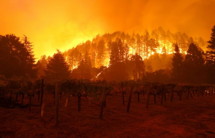 A forest fire burns through California's Napa Valley last May. ©AFP