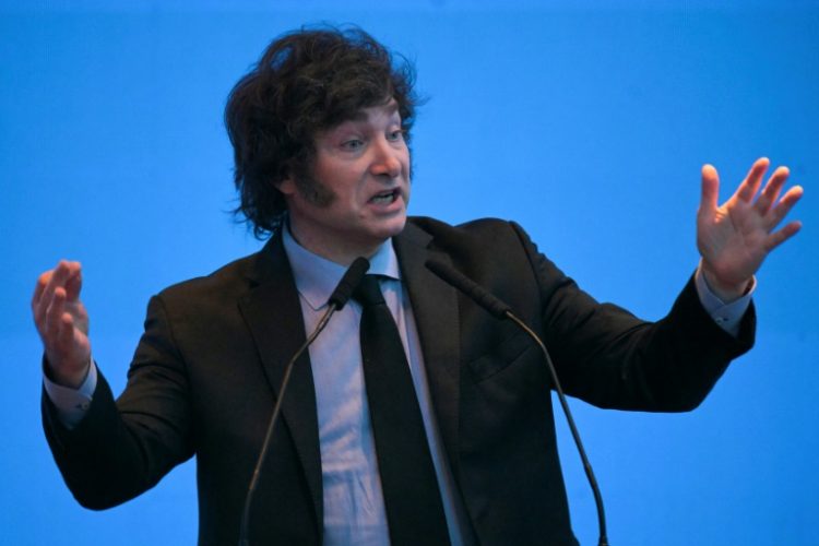 Javier Milei won elections last November vowing to reduce Argentina's deficit to zero. ©AFP