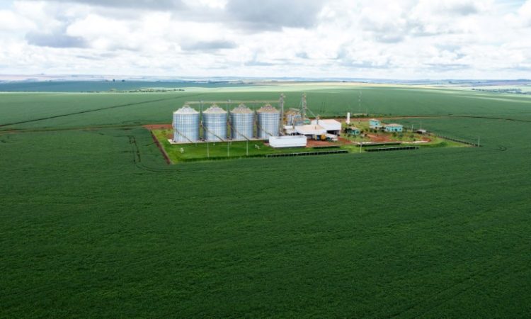 Aerial view of a soybean plantation in the municipality of Montividiu, Goias State, Brazil, taken on January 22, 2024. ©AFP