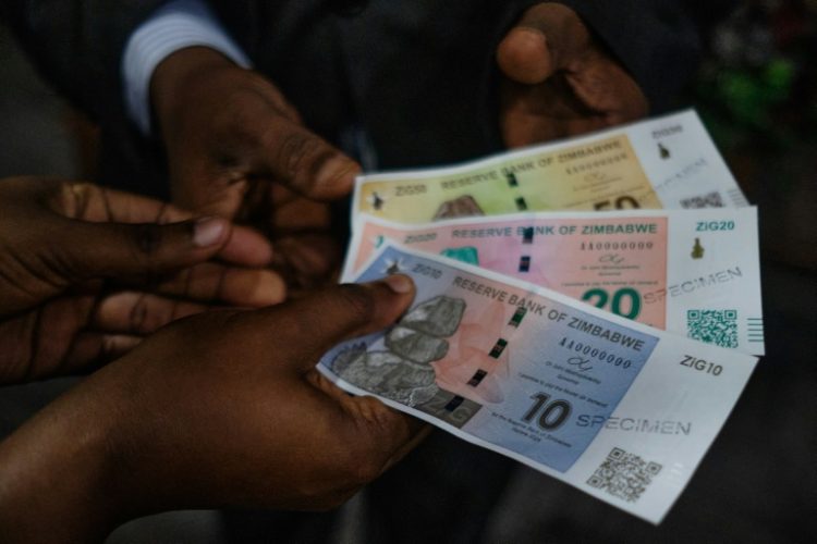 Zimbabwe's Reserve Bank has launched the ZiG (Zimbabwe Gold) currency in a bid to tackle a skyrocketing inflation. ©AFP
