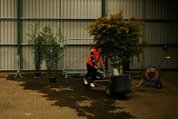 Plants imported from Europe now face tighter post-Brexit checks. ©AFP