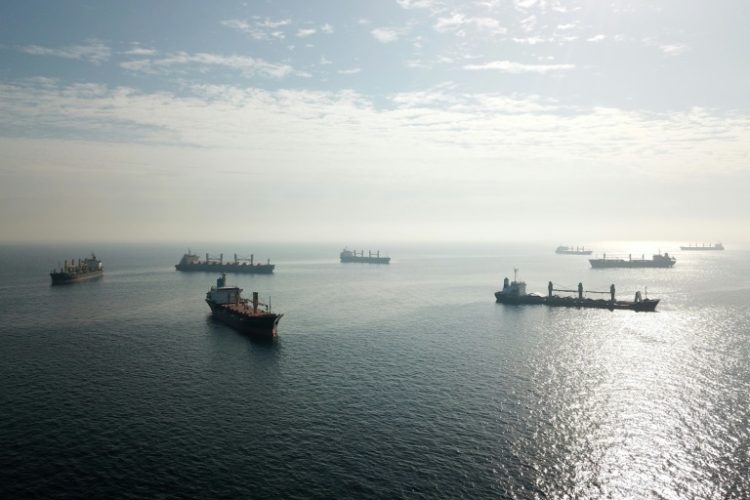 Cargo ships are seen at the southern entrance to the Bosphorus in Istanbul in October 2022. ©AFP