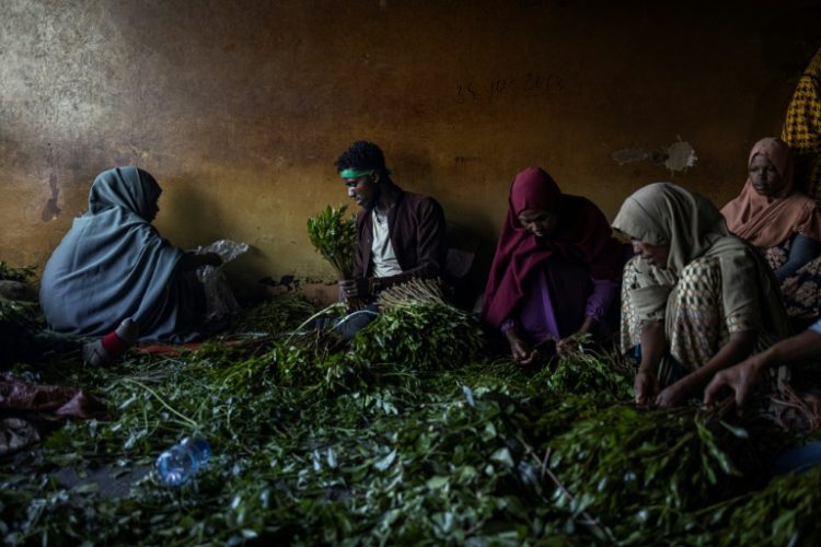 Khat is consumed across the Horn of Africa. ©AFP