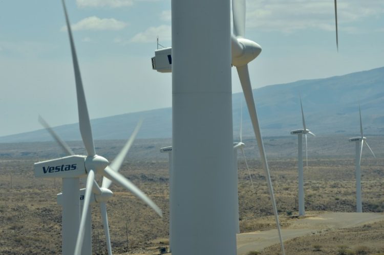 The wind energy sector is plagued by numerous problems, such as soaring interest rates, rising material costs and supply chain disruptions.. ©AFP