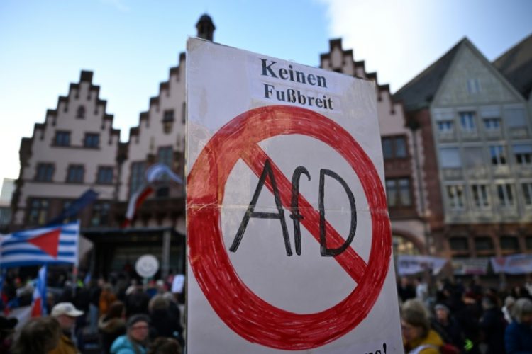 Germany's far-right AfD party is tied for second place in opinion polls ahead of EU Parliament elections. ©AFP