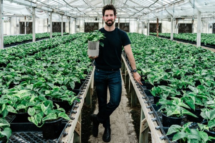 Lionel Mora, co-founder of French startup Neoplants, poses for a portrait inside the greenhouse where they grow the Marble Queen pothos plants in Lodi, California. ©AFP