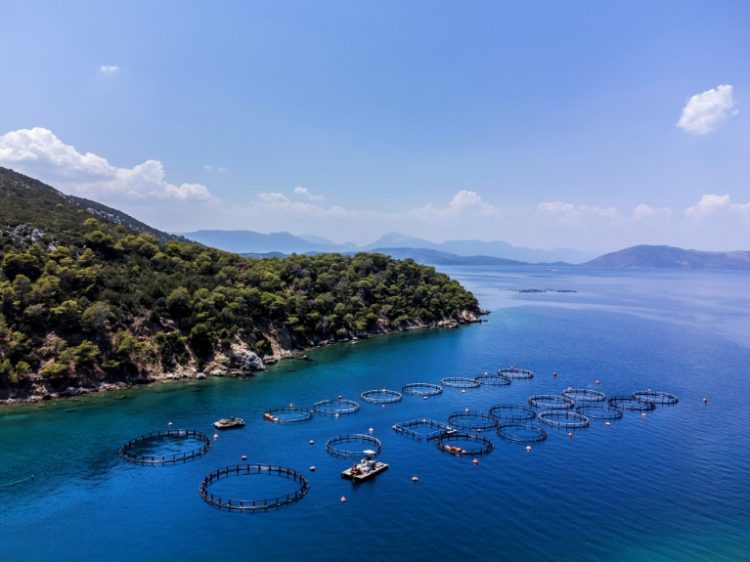 Fish farms off the Greek island of Poros. ©AFP