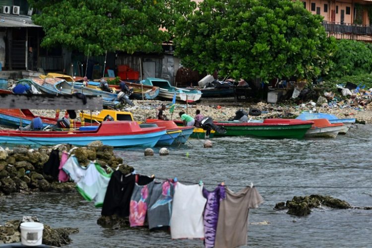 The Pacific's Solomon Islands has become a key player in the global live animal trade, with foreign collectors sourcing exotic species including some subject to trade bans. ©AFP