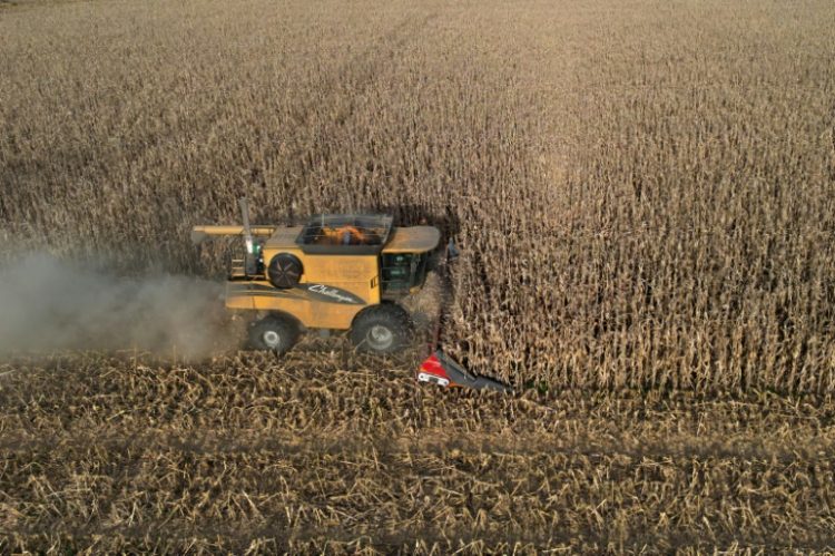 A farmer harvests his corn fields in Lobos, Buenos Aires province, Argentina. ©AFP