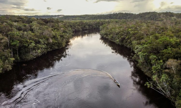 The Pira Parana territory is host to 17 communities of six different tribes. ©AFP