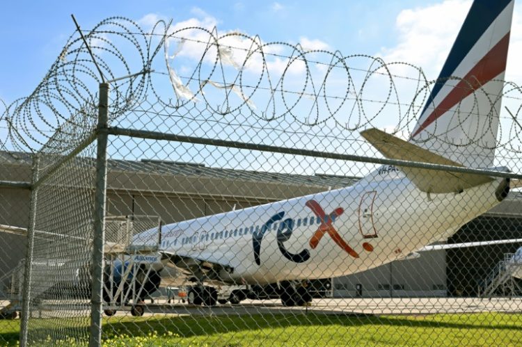 Australian regional airline Rex has suspended flights between major cities as it enters voluntary administration. ©AFP