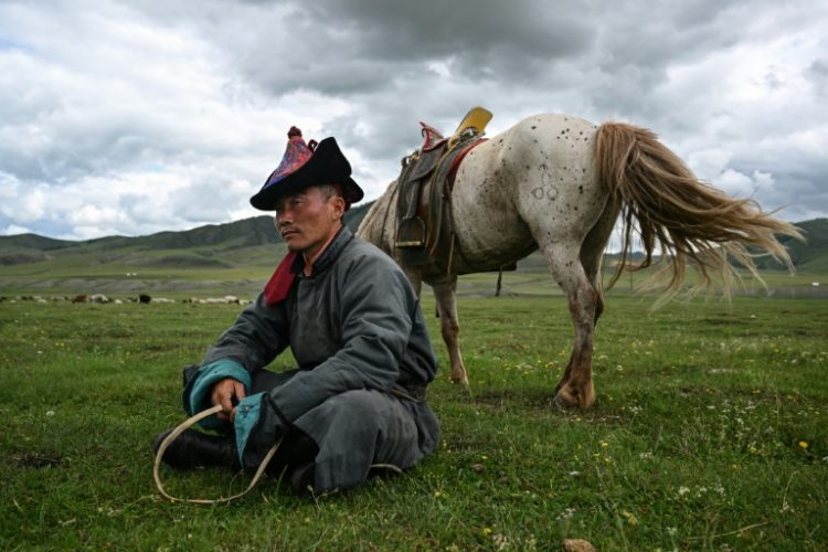 Luvsanbaldan Batsukh rests next to his horse after herding sheep and goats in Khishig-Undur in Bulgan province. ©AFP