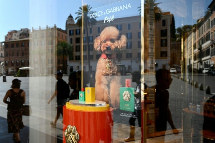 Dogs have an excellent sense of smell and perfumes can distress them.. ©AFP