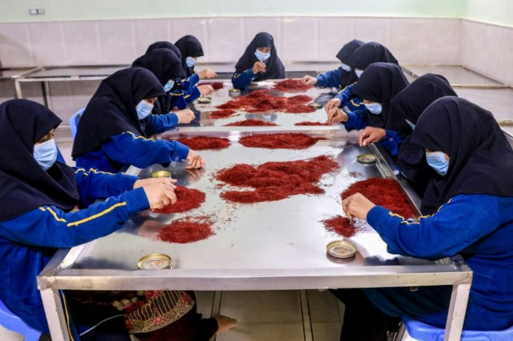 Afghan female workers sort and process dry Saffron at a facility in Herat. ©AFP