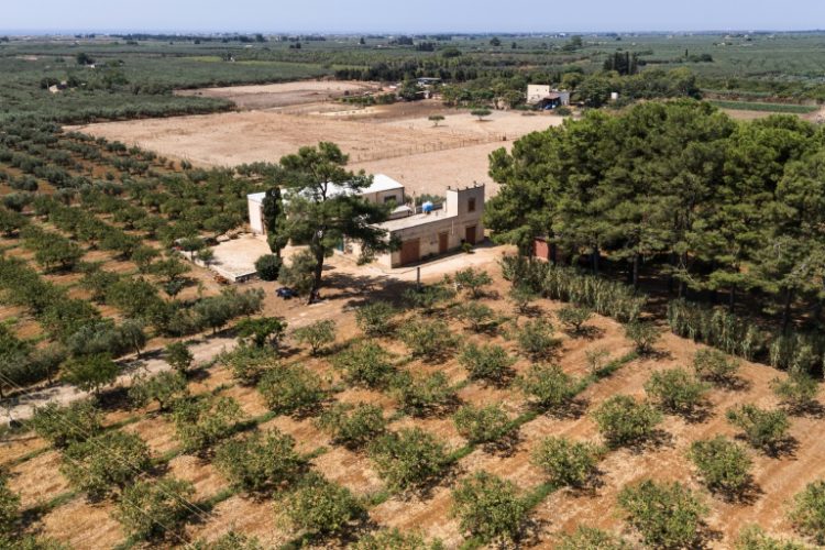 Local farmers say decades of incompetent water management has led to a situation in which they can't use rainwater from reservoirs. ©AFP