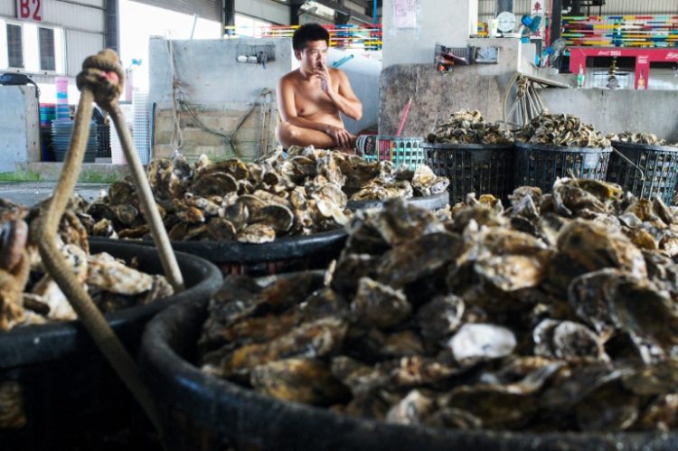 The Gijin Seafood Factory uses around 100 tonnes of oyster shells a year to churn out around 900 tonnes of Seawool, a trademarked and patented fabric. ©AFP