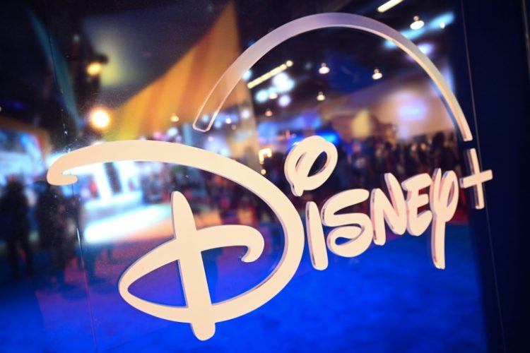 Disney's streaming service finally turned a profit but the company's shares took a hit due to weakness at US theme parks . ©AFP