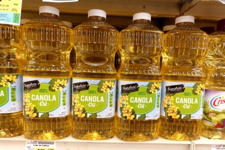 Beijing's probe into Canadian canola oil imports comes after Ottawa unveiled massive levies on Chinese electric vehicles. ©AFP