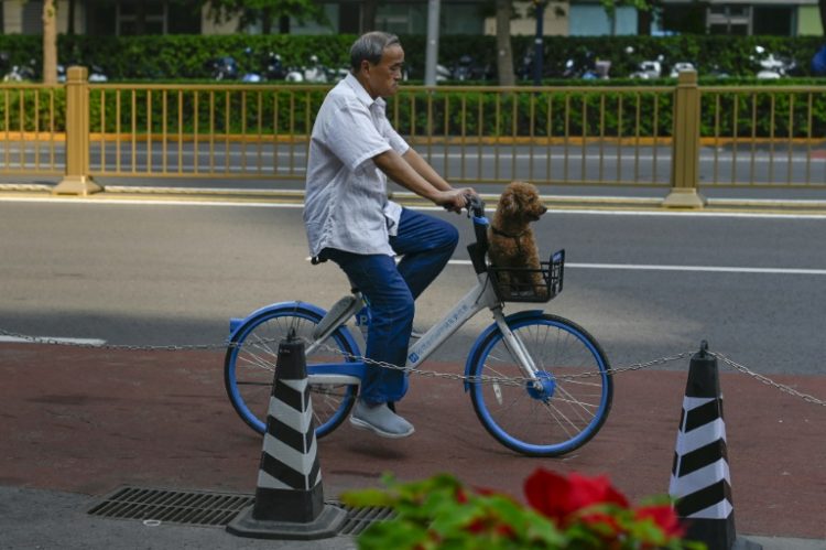 Hellobike's parent company, HelloRide, operates seven million shared bicycles. ©AFP