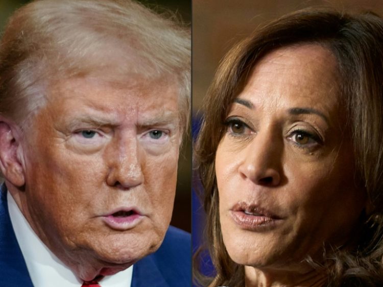 Former US president Donald Trump takes on Vice President Kamala Harris for the White House on November 5. ©AFP