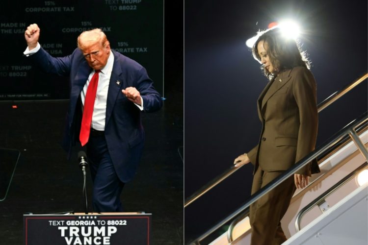 Researchers analyzed accounts that shared posts favoring Republican candidate Donald Trump, while targeting Democratic nominee Kamala Harris. ©AFP