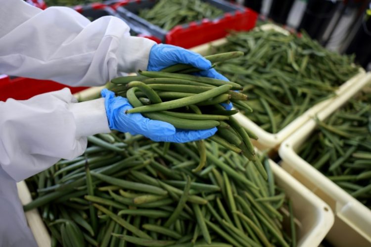 Vanilla is grown in tropical regions of the world . ©AFP