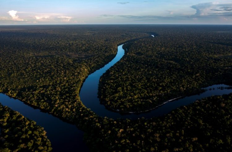 Biodiversity credits will be on the table for discussion at this month's UN biodiversity summit in Colombia. ©AFP