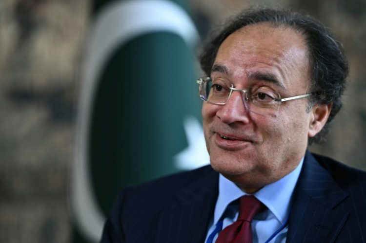 Pakistan's Finance Minister Muhammad Aurangzeb, seen in Washington in April, 2024, said reforms to broaden the country's tax base were ongoing. ©AFP