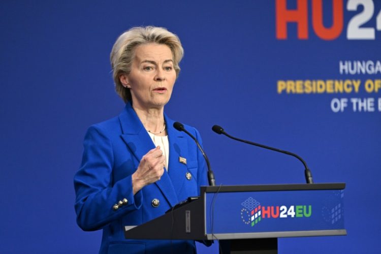 EU chief Ursula von der Leyen admits it will be 'a big task' to get all members of the European and Mercosur blocs behind the trade deal. ©AFP