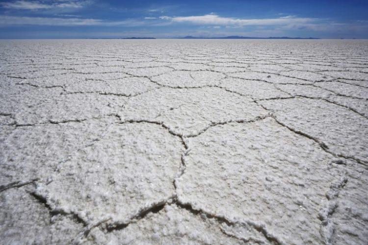 The plants are to be situated in Bolivia's vast Uyuni salt flats. ©AFP