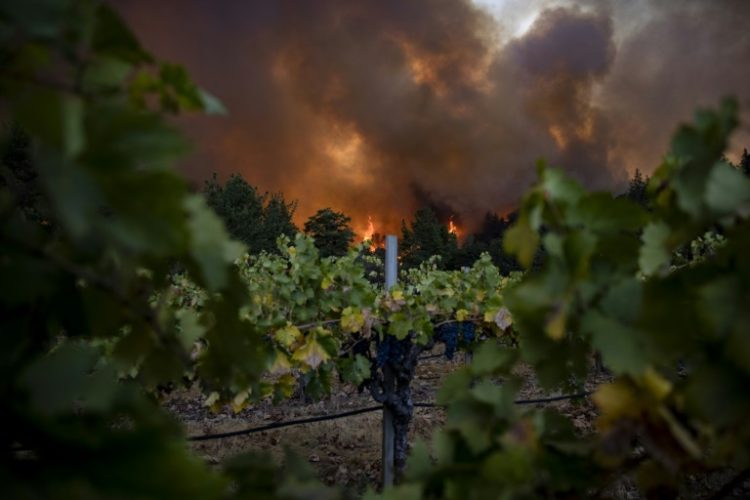 Climate chaos is hurting global wine production, such as this September 2020 fire in California's Napa Valley. ©AFP