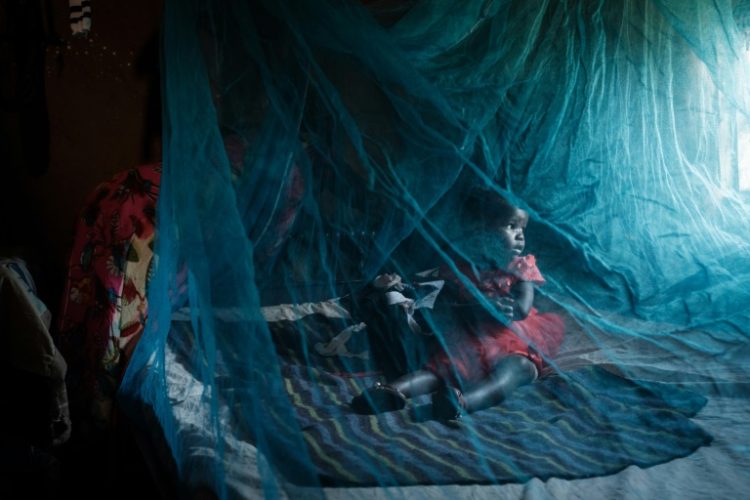 Bed nets -- up to now the prime weapon against malaria -- may be much less effective against the urban mosquito. ©AFP