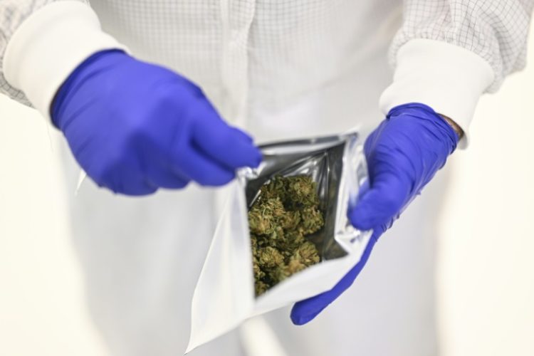 A Tilray worker seals cannabis flowers in a bag at their Portugal farm . ©AFP