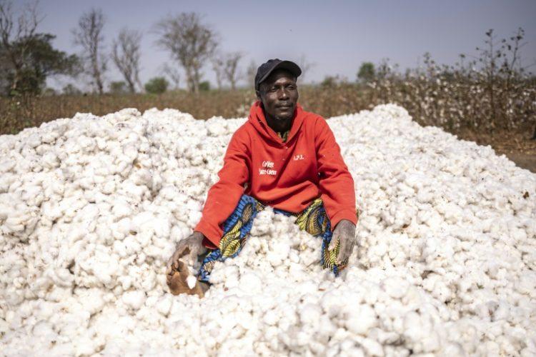 Mathias Azonnoudo says Benin authorities are encouraging cotton growers to produce more. ©AFP