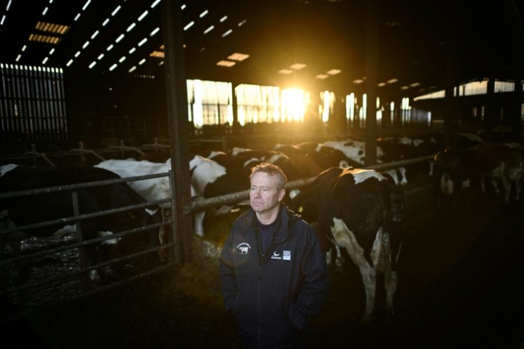 Dairy farmer Adam Stanbury fears the government's new farm tax could ruin his family business in Devon, southwest England. ©AFP