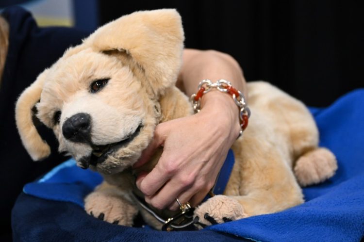 The Tombot dog robot companion for the elderly is meant to sooth people suffering from cognitive decline while not requiring the care of a real canine. ©AFP