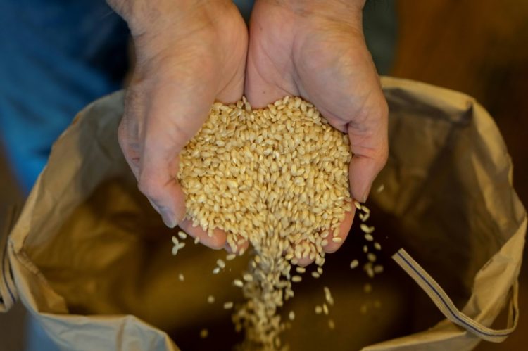 Japan enacted a law in 1995 for the government to stockpile rice. ©AFP