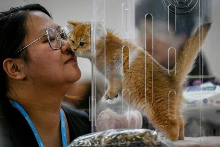 China's pet industry is flourishing, even as low consumption is plaguing the world's second-biggest economy. ©AFP