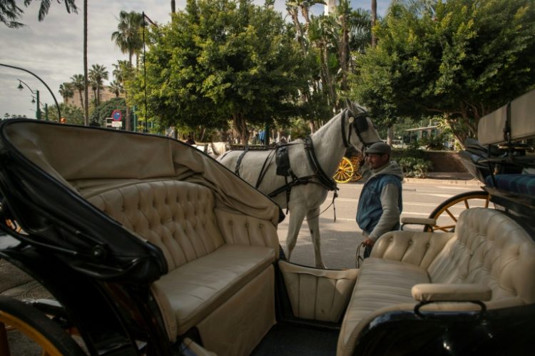 Malaga wants to ban horse-drawn carriages from its streets after years of criticism of the trade. ©AFP